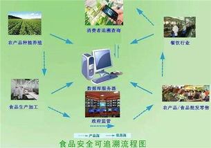 剖析物聯(lián)網(wǎng)能使一人養(yǎng)一萬(wàn)頭豬 是真需求還是偽痛點(diǎn)的車聯(lián)網(wǎng)科技思考